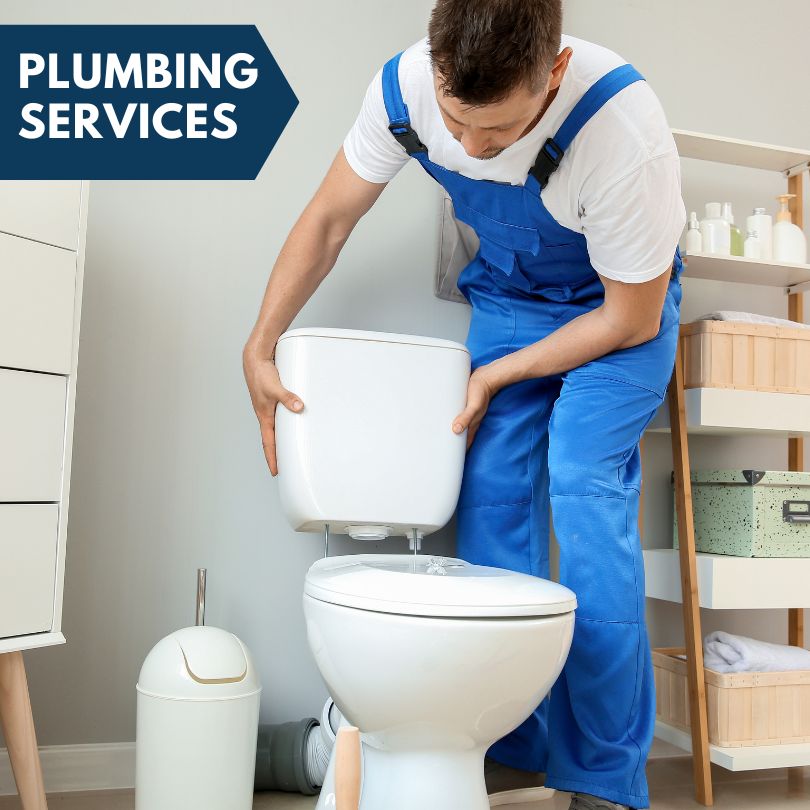 Plumbing Company in Alden, MI